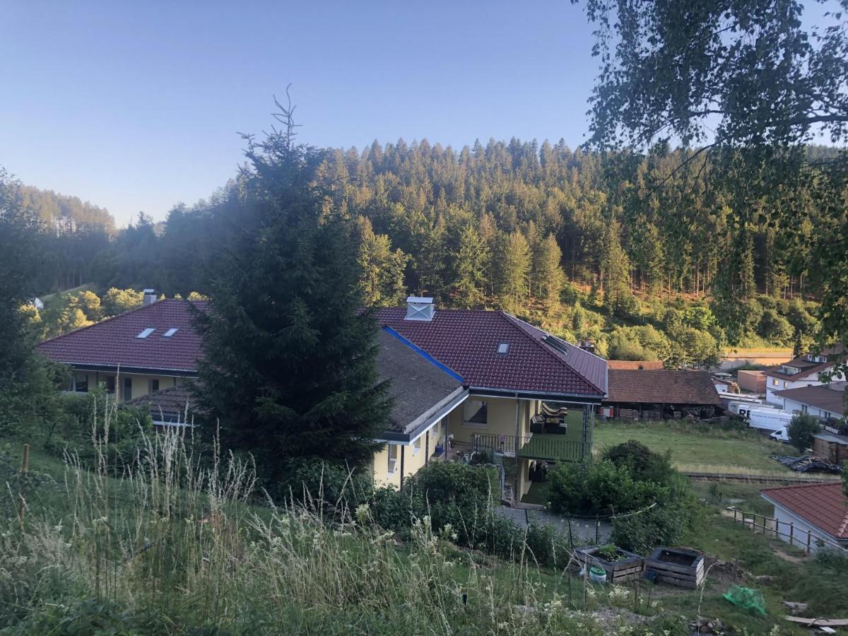 Ferienhaus Lacher Baiersbronn Exteriör bild